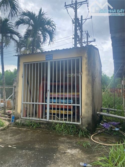 X112 chuyển nhượng toàn bộ nhà xưởng khung thép kiên cố, chuyển giao hoạt động liền - 3