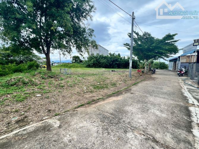 Bán đất Hàm Hiệp mặt tiền nhựa chính gần Phan Thiết - 3