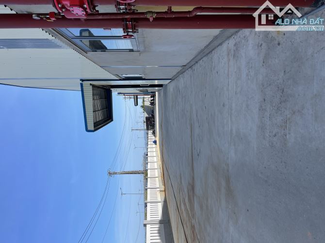 💥 CHO THUÊ XƯỞNG KTT NHƠN HỘI 3.840m2 6500m2, 10.000m2,20.000m2 ƯU ĐÃI THUẾ DN, XƯỞNG MỚI - 4