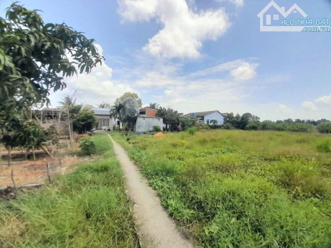 Quá ngộp, 1172m2 đất thổ cư KDC Nhựt Tảo, 22x 51m, chốt 850tr - 4