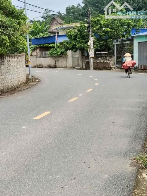 Hàng giá rẻ đẹp tại kỳ sơn thủy nguyên hải phòng  DT 115m Cách đường liên thôn 50 m không - 4
