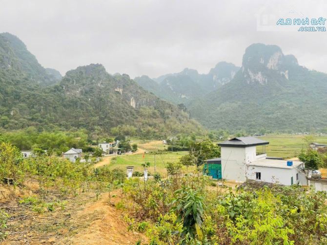 Cần bán gấp lô đất giá siêu rẻ chỉ 650k/m - 4