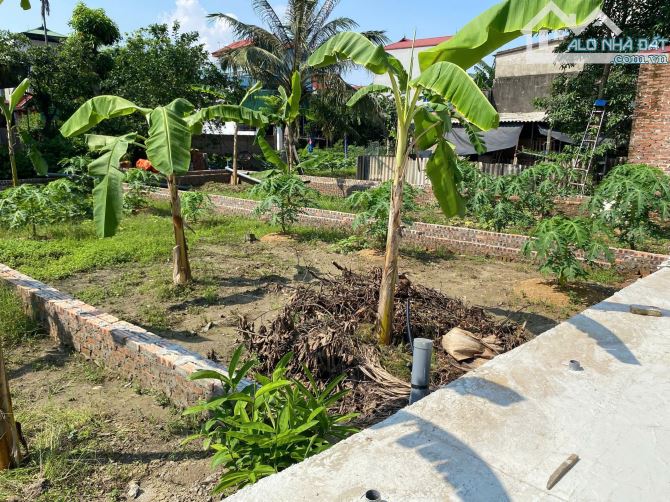 Bán mảnh đất 71m² tại thuận thành bắc ninh.ngõ (2,5m) - 4