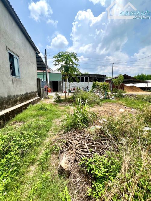 🆘CẦN BÁN ĐẤT AN VIỄN, TRẢNG BOM (cách sân bay QT Long Thành 15km) - 4