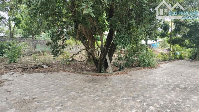 618m Đông Sơn xã Phú Nghĩa, đất đẹp giá tốt cho NĐT - 4