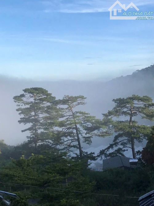 ĐẤT MĂNG LIN Đà Lạt Giá NET KHU GIỚI NGHỆ SĨ Săn Đón - 5