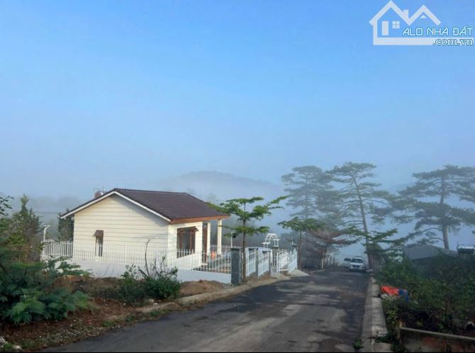 ĐẤT MĂNG LIN Đà Lạt Giá NET KHU GIỚI NGHỆ SĨ Săn Đón - 6