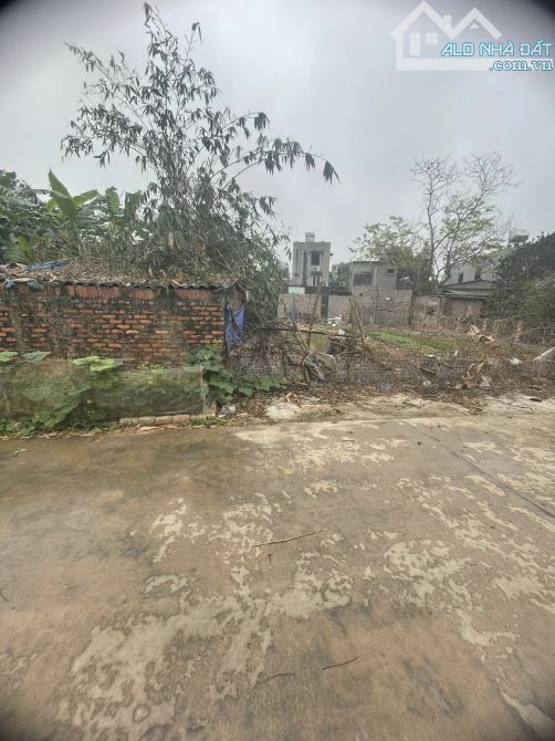 Bìa Làng 110m2 Bắc Thượng, Nội Bài, Sóc Sơn. đường rộng 8m view hồ kim anh. - 6