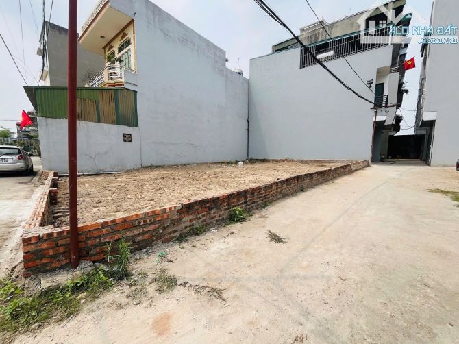Bán đất lô góc 146,39m² Nguyên Khê, Đông Anh – MT 8,5m, nở hậu, vị trí vàng KD vượt trội - 6