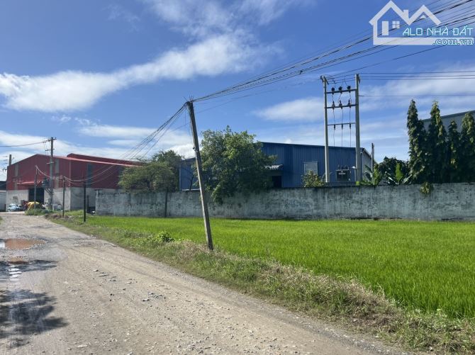 🏭 GẤP BÁN NHÀ XƯỞNG MẶT TIỀN ĐƯỜNG N7 – ĐỨC HÒA ĐÔNG, LONG AN 📐 Diện tích: 90 × 40 = 3.6 - 6