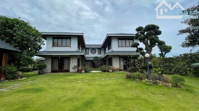 Bán biệt thự phong cách Nhạt Bản khu đảo nổi Câm Lệ 1577m2 cực đẹp - 6