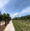 Bán 1782m2 đất quy hoạch full thổ cư Chỉ 745triệu tại Ninh An- Ninh Hoà
