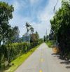 HÀNG FO XÃ ĐẤT ĐỎ - TP HCM  📐Diện tích 10x50~500m2 có 80m thổ cư 🚖Mặt tiền đương nhựa, r
