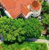 TOP 3 BIỆT THỰ ĐƠN LẬP GÓC ĐẸP TẠI CIPUTRA  (265M² - 426M² - 638M²)