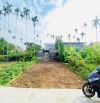 💥💥💥 70m vuông tại thôn Hầu - Lâm động - Thuỷ Nguyên - Hải Phòng . Xây nhà vuông cực đẹp