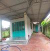 Bán gấp nhà 289m xã cẩm giang, gò dầu , tây ninh, giá 550 triệu hết nhà đất, sổ riêng