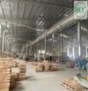 Cho Thuê Nhà Xưởng Diện Tích 8.900m2 Có Sẵn Dây Chuyền Sản Xuất ở Tân Vĩnh Hiệp,Tân Uyên,