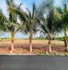 Bán 152m2 giá 550tr đường nhựa Xã Long Tân -Đất Đỏ - TP HCM
