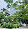 CC CẦN BÁN ĐẤT LẠC LONG QUÂN LÔ 05 D2 BIỆT THỰ VƯỜN ĐÀO 180m2, MẶT TIỀN 11M XÂY CAO 8 tầng