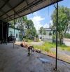 NT114 Cho thuê 2,4HA Bãi ( Đất Trống Bằng Phẳng ) Phước Tân. Đồng Nai  + Vị trí thuận tiện