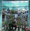 Nhỉnh 4 tỷ. 100m2 - 2.5 tầng TT Thanh Khê - Sát AEONMALL.