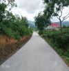 2.5 sào phường 3 Bảo Lộc. đất bằng giáp suối