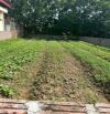Bán đất 200m2, mặt tiền 10m, Đoan Hạ, Thanh Thuỷ