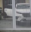 Ô tô 7 chỗ vào sân Ông ích Khiêm, Hải Châu chỉ 12.x tỷ
