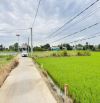 Đất thổ gần trường học xã Bình Lãng, Tân Trụ, Long An