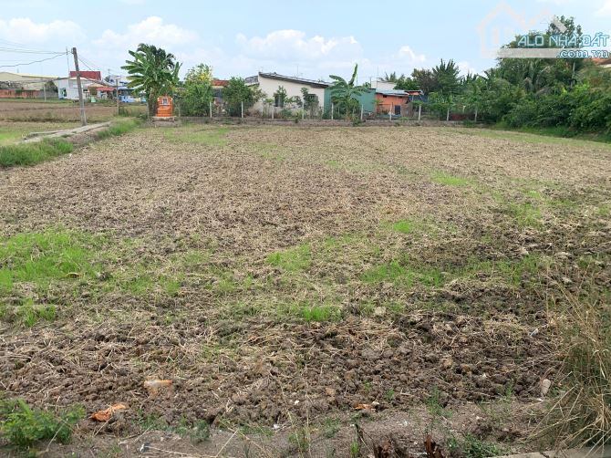Bán đất Cần Đước gần Quốc lộ 50 cách hcm 15km