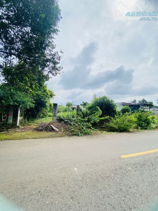 Cần bán mặt tiền đường nhựa Hoà Long,Bà Rịa - DT: 760m2 với Giá Bán: 5 tỷ 600 triệu - 1