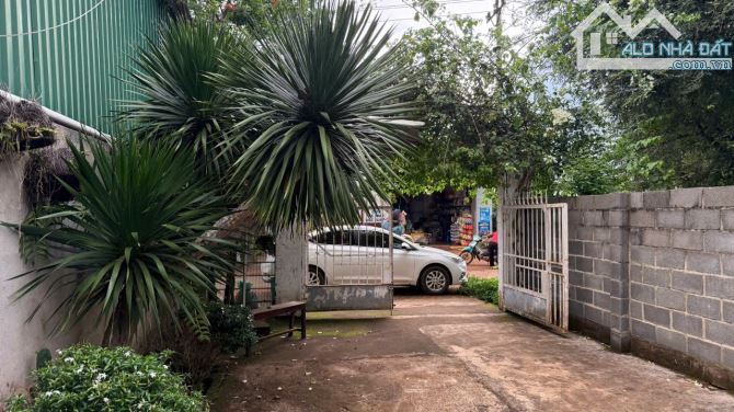 BÁN ĐẤT TẶNG NHÀ MẶT TIỀN KINH DOANH ĐƯỜNG D6 BUÔN JU P. TÂN AN - Loctran