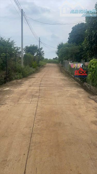 D048 Cần bán 4.7 sào đất Hưng Thịnh- Trảng Bom giá 6ty Tl Diện tích tổng 4.769m2