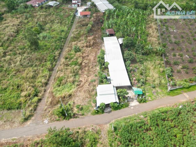 Bán 1000m2 đất cẩm đường ngang 10m cạnh sân bay Long Thành