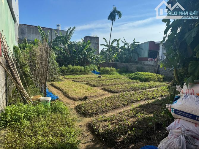 Bán đất Kim Đới, Hữu Bằng, Kiến Thuỵ