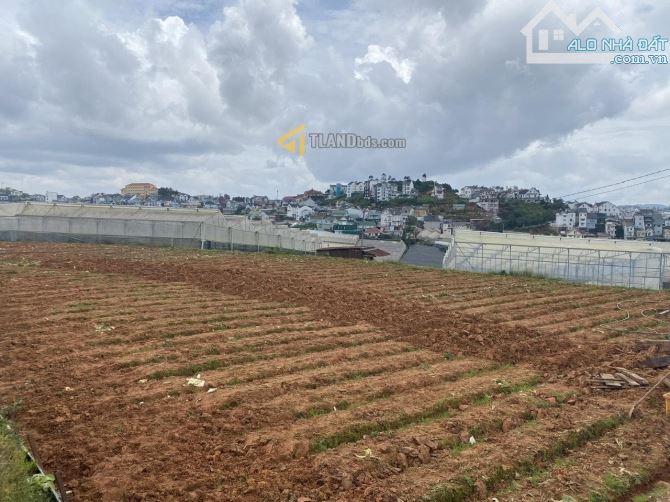 Gần 1200m2 đất nn Cao Thắng quy hoạch full thổ giá chỉ hơn hơn 8 tỷ