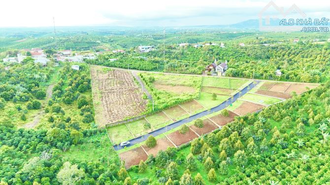 đất view núi nằm gần ql20 kế bên tp bảo lộc - 2