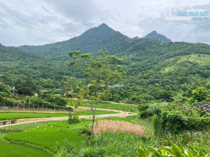Bán 4385m2 đất Ao vua, Tản Lĩnh, Suối Hai, 500m tc, oto, view đẹp nở hậu, gần TL, chỉ 23tỷ