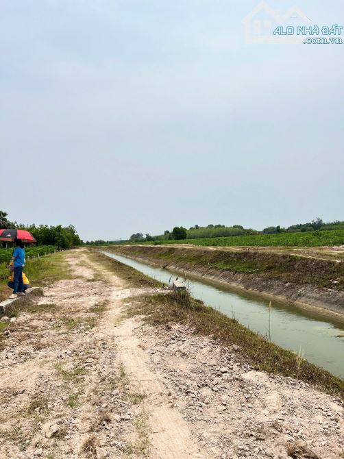1000m2 có Thổ cư Nguyễn Thị Lan - Hòa Đông Tân Biên - chỉ 320tr