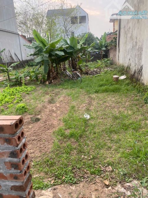 💥200m_Tự Nhiên _Thường Tín_HN  💲Giá chỉ 28,5 tr/m  **DT: 200m thích hợp làm kho xưởng