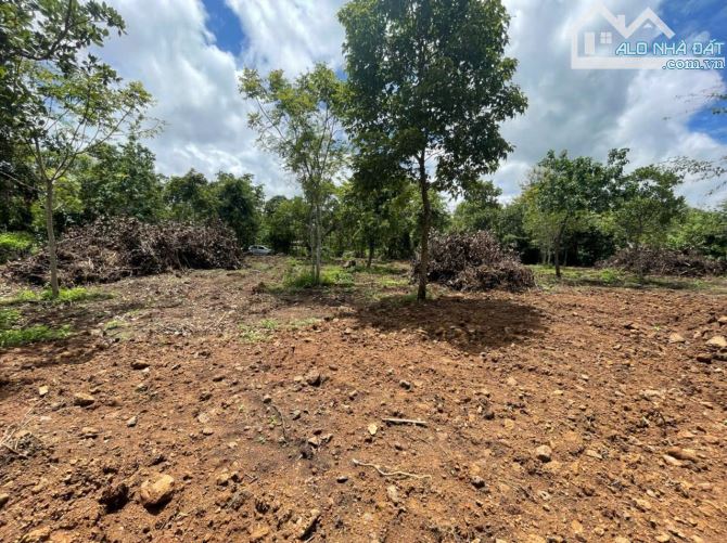VEW ĐẸP CÁCH ĐƯỜNG CHÍNH YMOAN NỐI DÀI 900m Khu vực tiềm năng phát triển , giá tốt