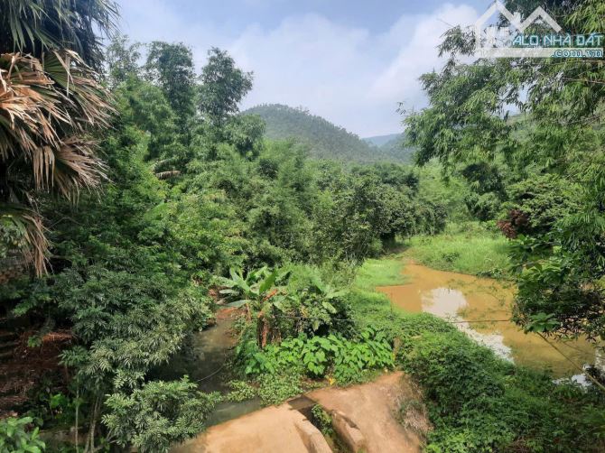 🔥 BÁN LÔ ĐẤT 515m² (100m² THỔ CƯ) – VIEW SUỐI 🔥