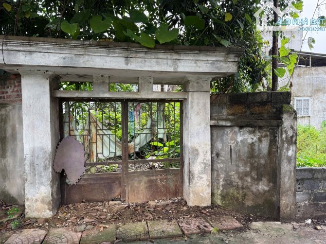 Chính chủ giao độc quyền 100m tại thôn Xuân Trung, Thủy Xuân Tiên, Chương Mỹ, Hà Nội  - Đư