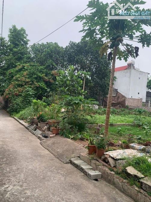 ❌❌Chính chủ e bán đất siêu đẹp tại Cổ châu - Nam phong - Phú Xuyên - HN  ⛔️Diện tích: 60.4