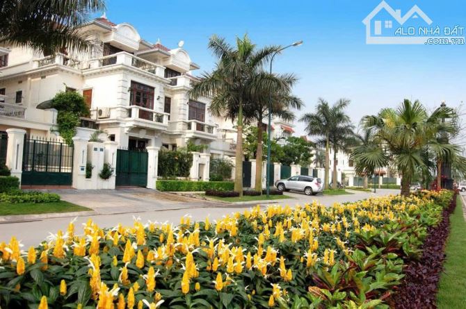 Bán biệt thự Ciputra 200m, mặt tiền 9m, siêu rẻ 80 tỷ