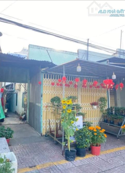 ⛔  TÂY NINH 100M2 THỔ CƯ - MẶT TIỀN - ĐƯỜNG VÕ THỊ SÁU - TP TÂY NINH .