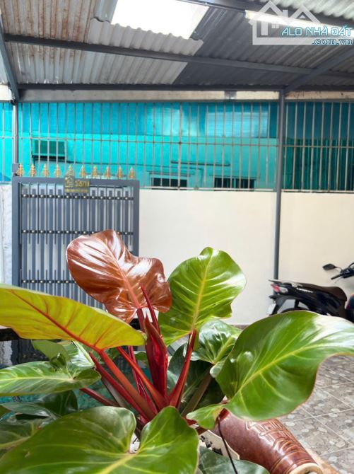 Nhà hẻm Cầu Dứa Phú Nông gần Bách Hóa Xanh Vĩnh ngọc Nha Trang dt 96m2 giá 3ty450 - 11