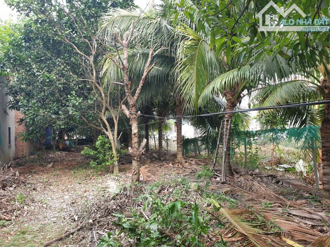 300m2 đất Đường thông, rộng rãi Diên Phú Khánh Hoà. Cách sông Cái chỉ hơn 100m. - 4