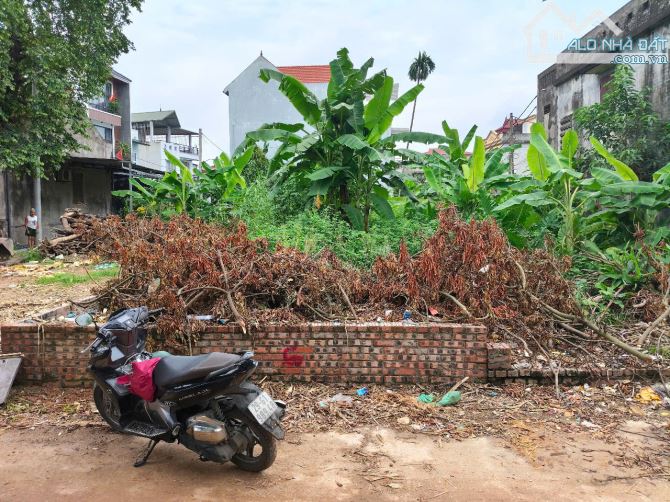 🌟 Siêu phẩm đất kinh doanh 76m², đường 12m – vị trí hiếm tại Lương Quy! - 2