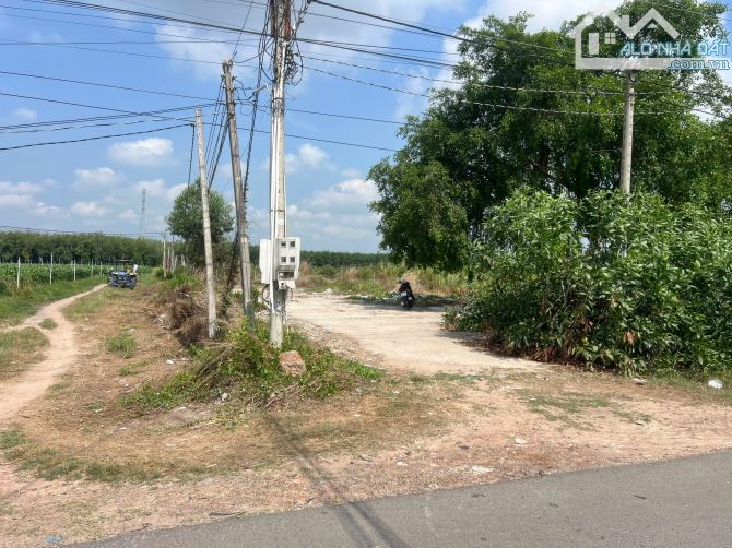 Bán đất mặt tiền ĐT 793 xã Thạnh Bình, Tân Biên Tây Ninh dt 15,5x41m thổ 405m2 giá 100tr 1 - 1